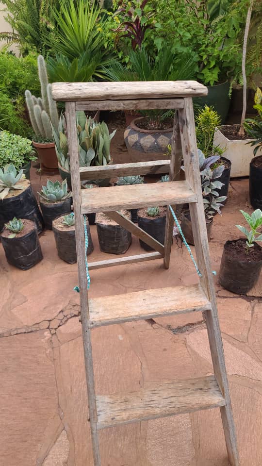 Wooden ladder suitable for home use
